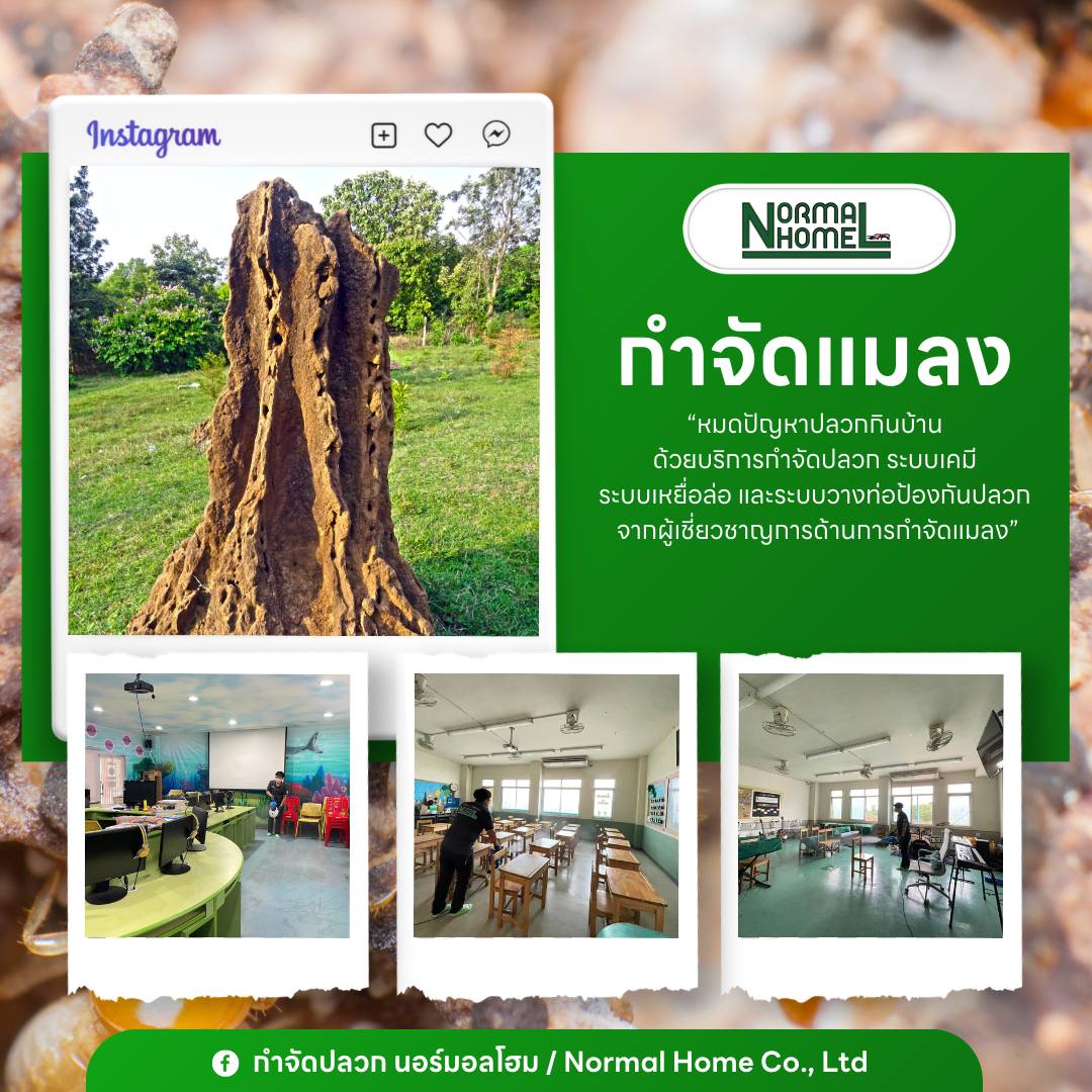 กำจัดแมลง