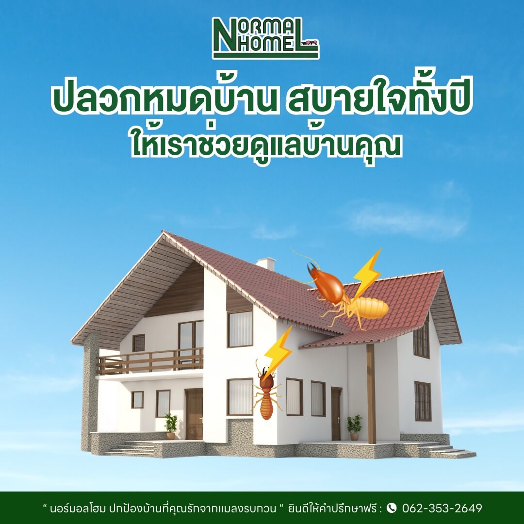 ปลวกหมดบ้าน