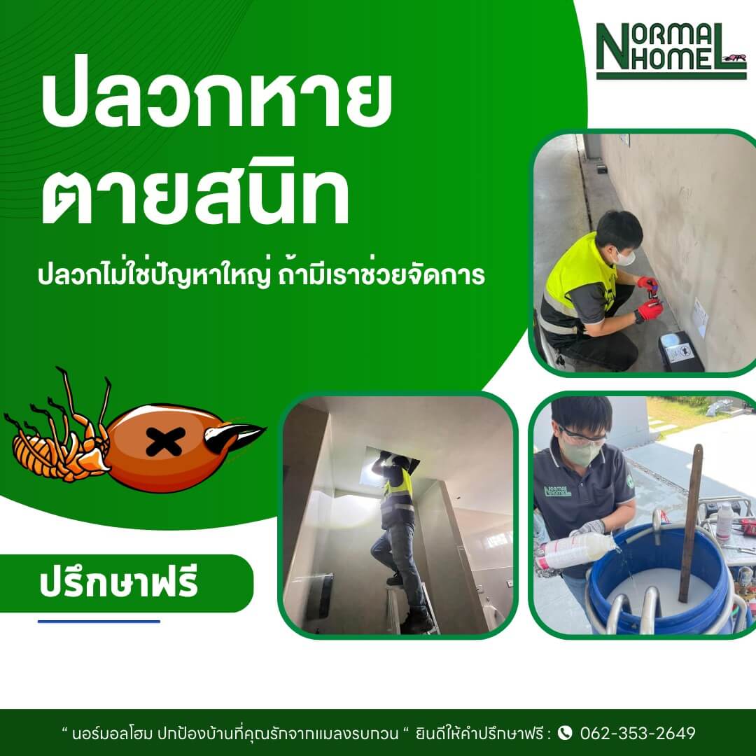 เจาะพื้นกำจัดปลวก