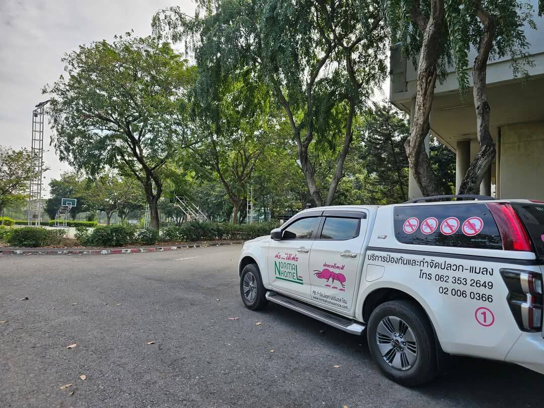 ลูกค้าของนอลมอลโฮม