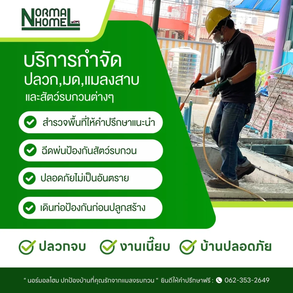 บริการกำจัดปลวก มด แมลงสาปและสัตว์รบกวนต่างๆ